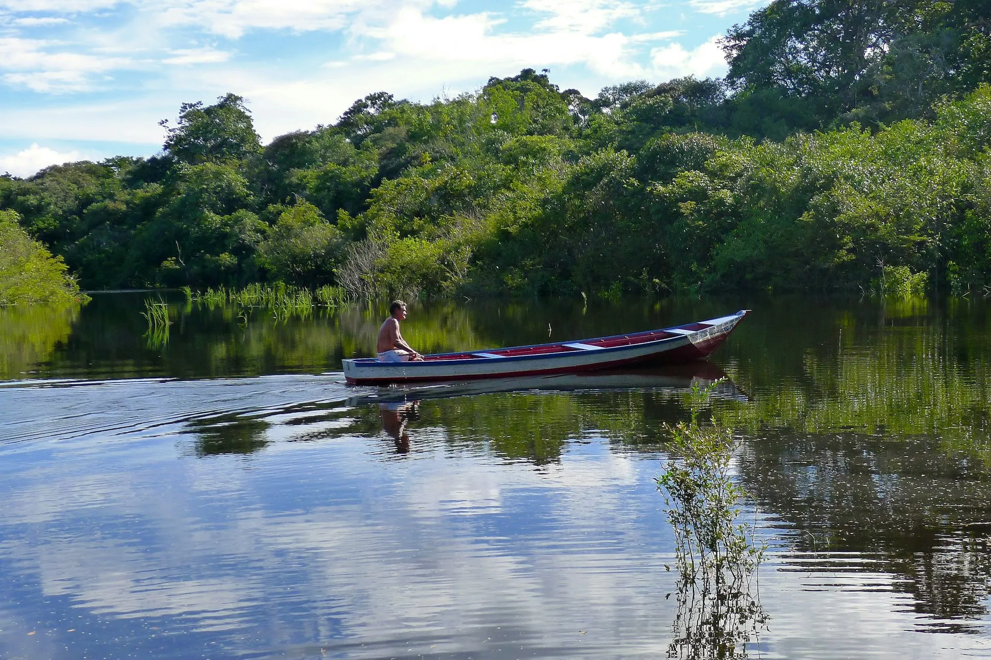 Uma canoa navegando em um rio calmo cercado de floresta amazônica.