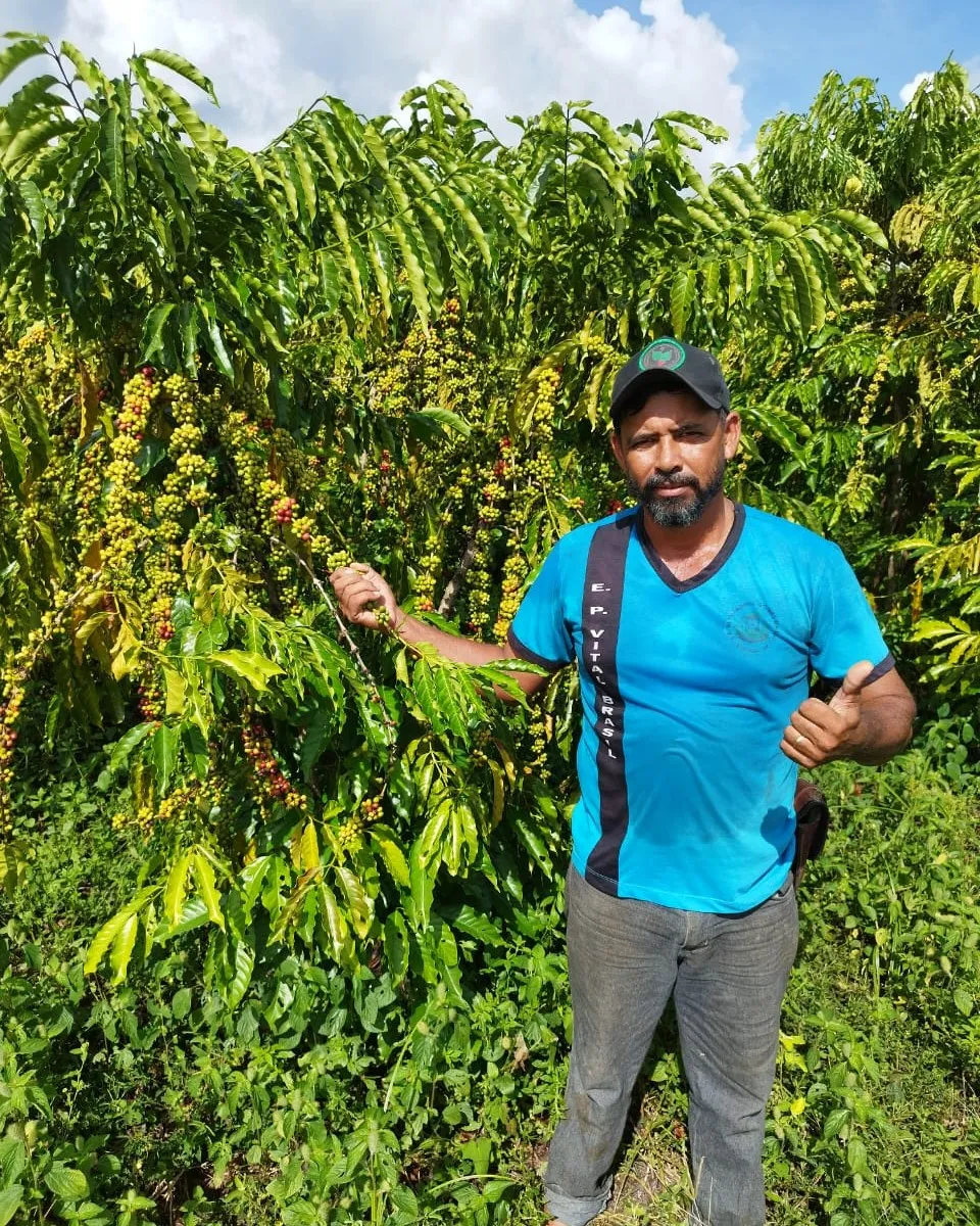 A member in a blue T-shirt beside a coffee tree loaded with fruit, giving a thumbs-up.