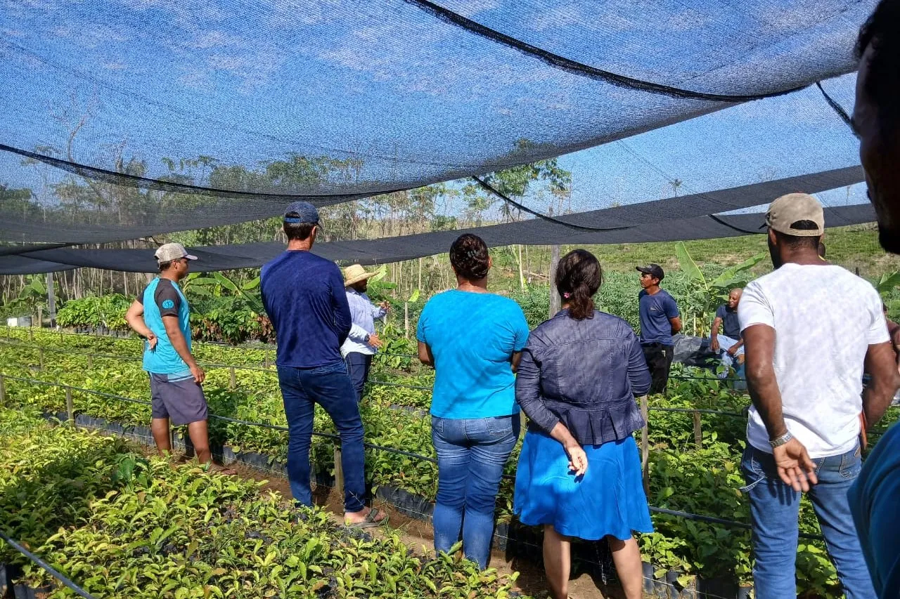 Visitors and producers walking between the seedling beds under the nursery shade cloth.