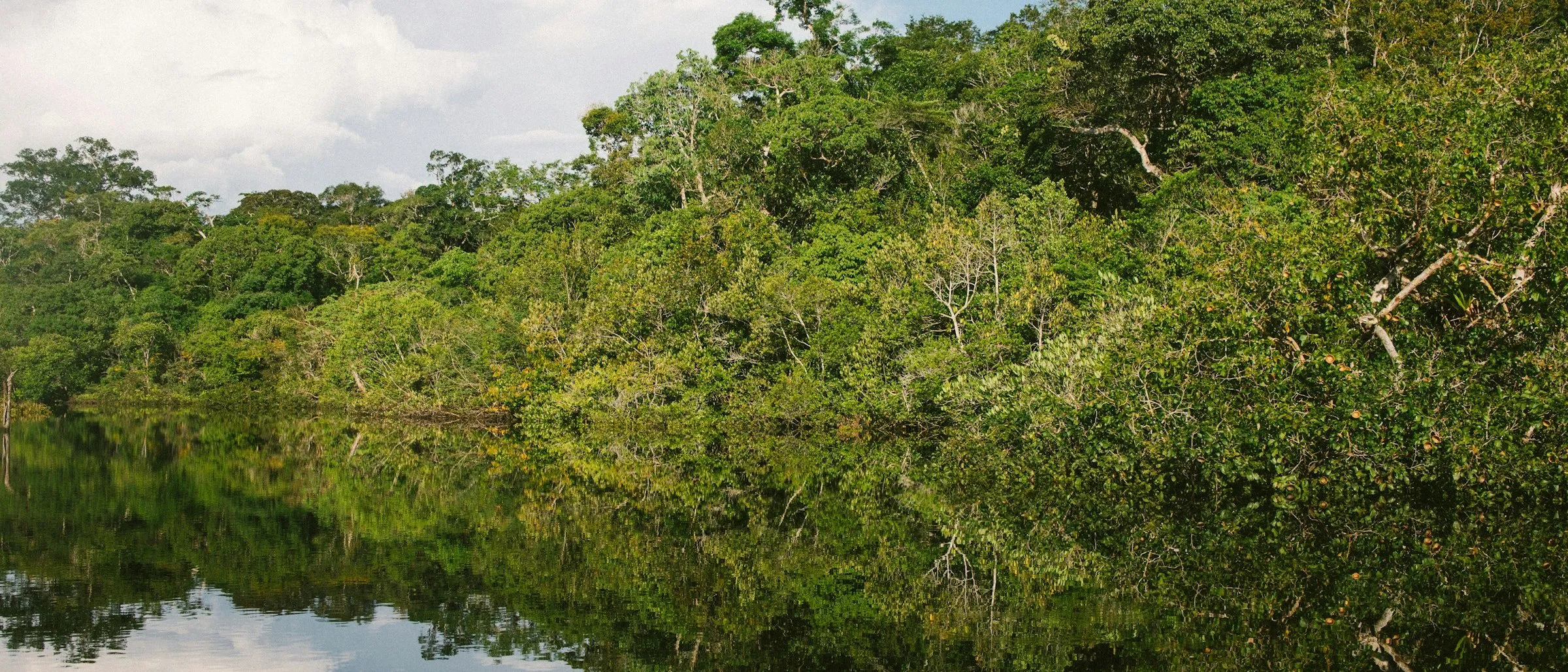 Floresta amazônica refletida nas águas calmas de um rio.