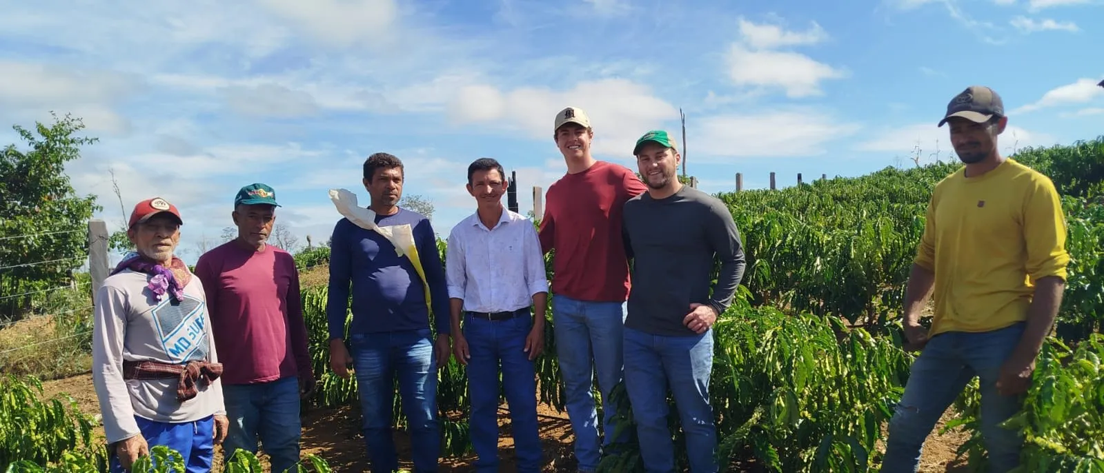 Eight producers standing side by side in the middle of a coffee field under a blue sky with clouds.